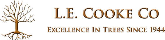 L.E. Cooke Company